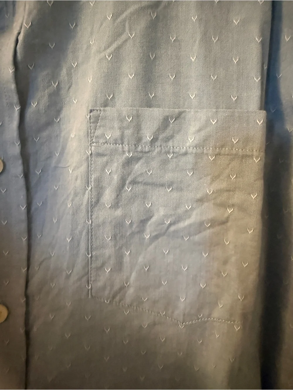 Banana Republic Pale Blue Short-Sleeve Button-Down Shirt